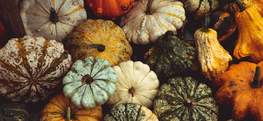 Colorful,Pumpkins,At,Farmers,Market.,Pumpkin,Patch.,Fall,Festival.,Halloween