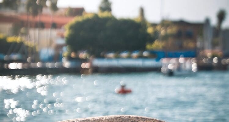 Chula Vista California, Chula Vista, California, Chula Vista CA